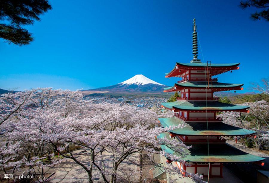 Вилла Fuji Sakura House Фудзикавагутико Экстерьер фото