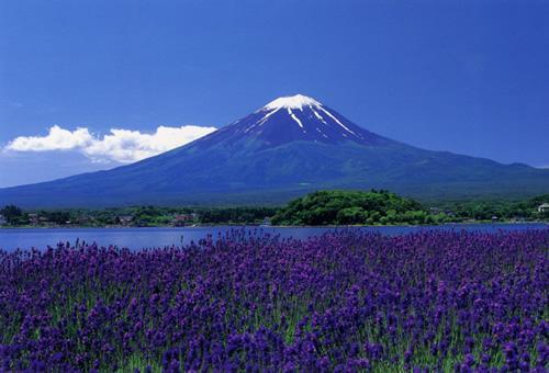 Вилла Fuji Sakura House Фудзикавагутико Экстерьер фото
